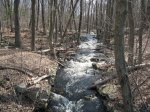Picture Echo Lake 3252010 006.jpg