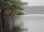 Picture Echo Lake 3312010 019.jpg